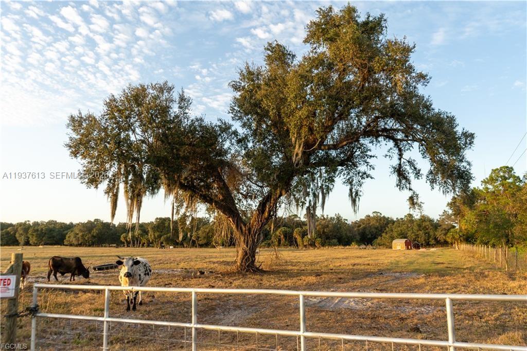   /   sq. ft. $ 2026-01-02 0 Photo