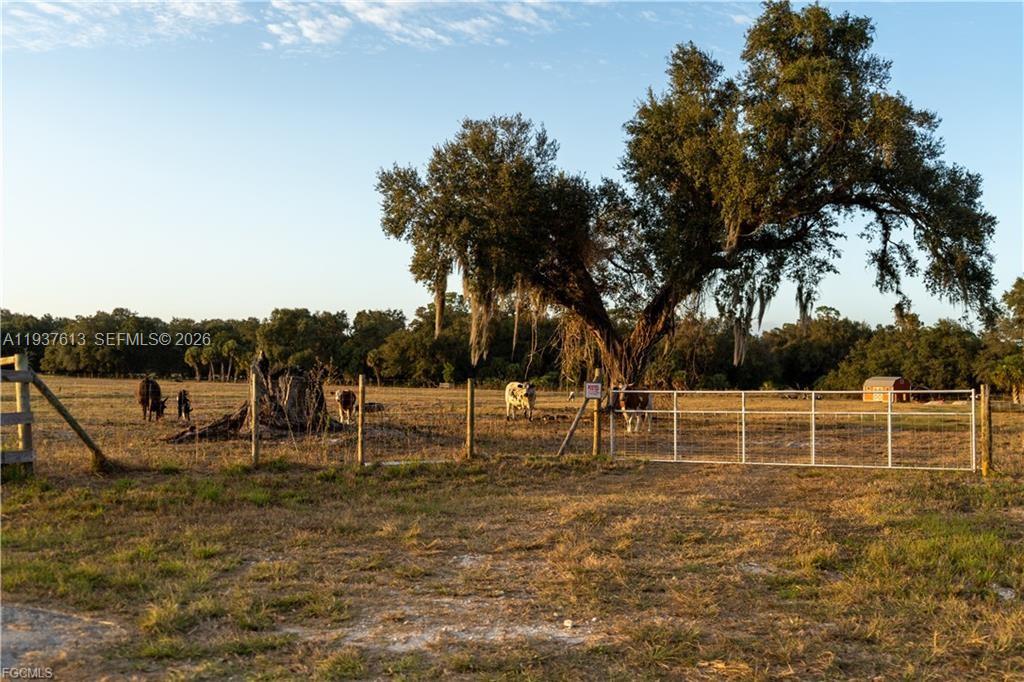   /   sq. ft. $ 2026-01-02 0 Photo