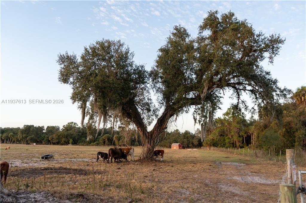   /   sq. ft. $ 2026-01-02 0 Photo