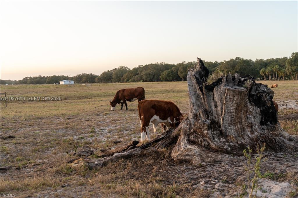   /   sq. ft. $ 2026-01-02 0 Photo