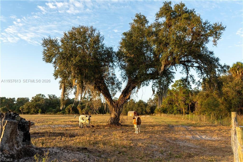   /   sq. ft. $ 2026-01-02 0 Photo