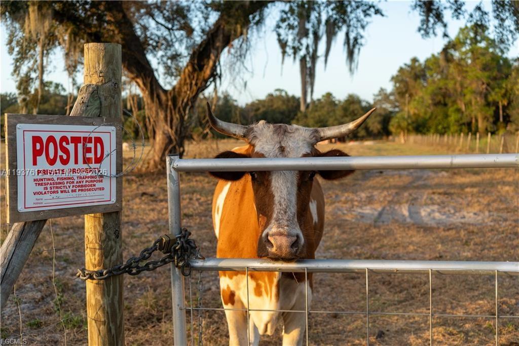   /   sq. ft. $ 2026-01-02 0 Photo