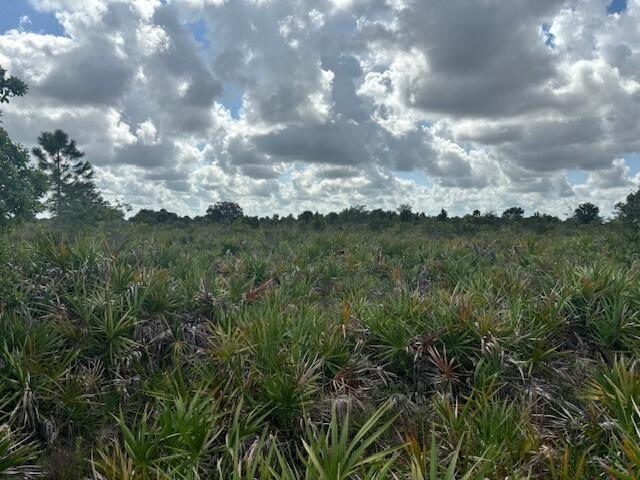   / 0  sq. ft. $ 2026-06-15 0 foto