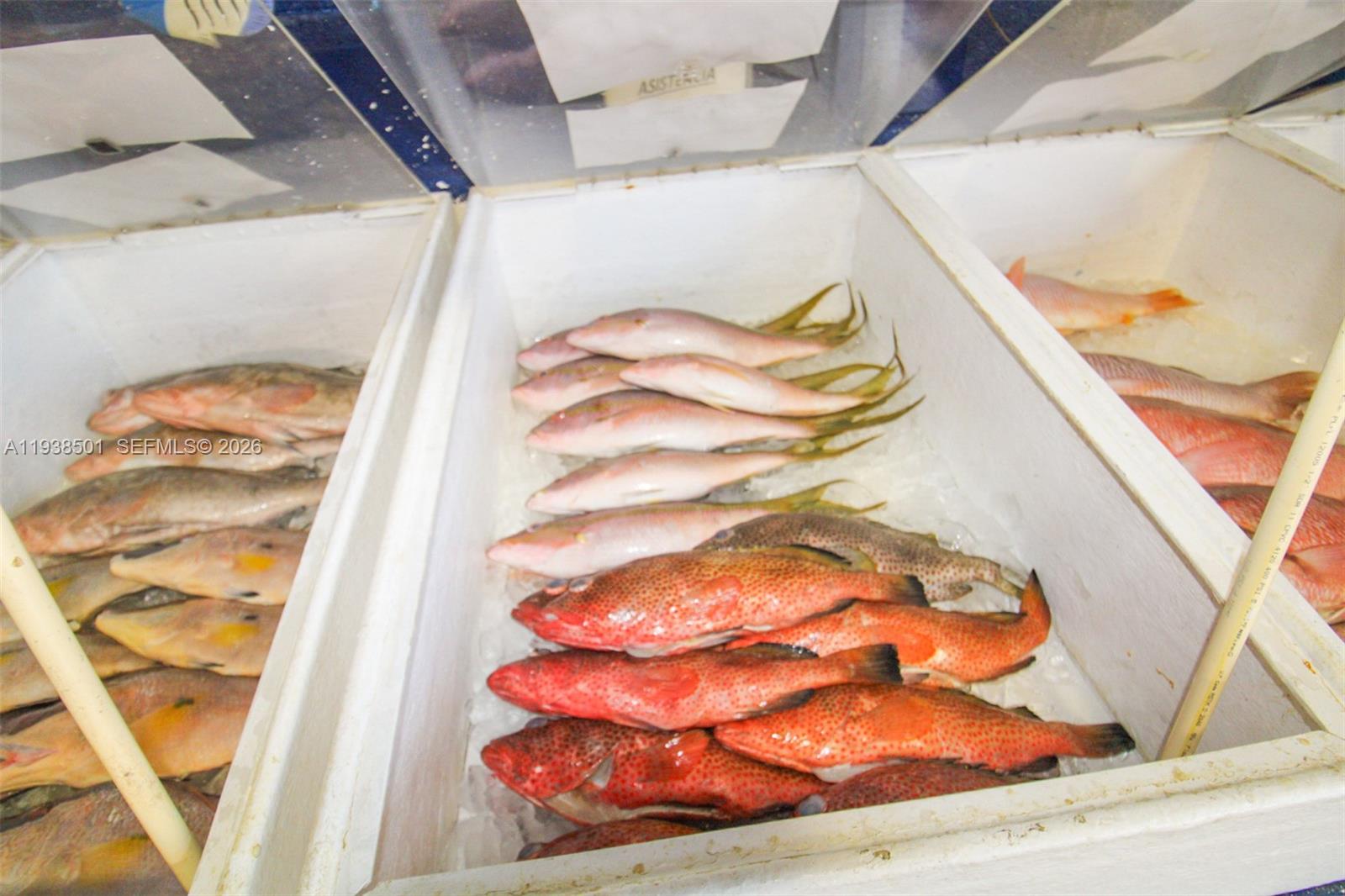   /   кв.футов $ 2026-01-05 0 Фото