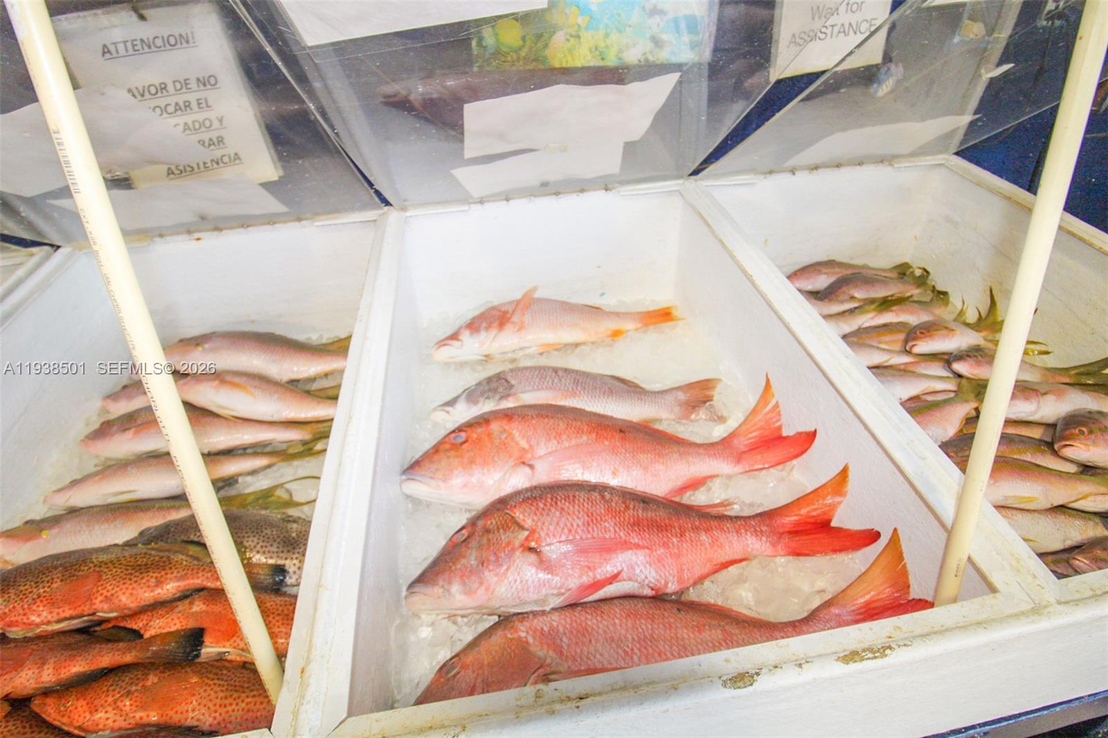   /   кв.футов $ 2026-01-05 0 Фото