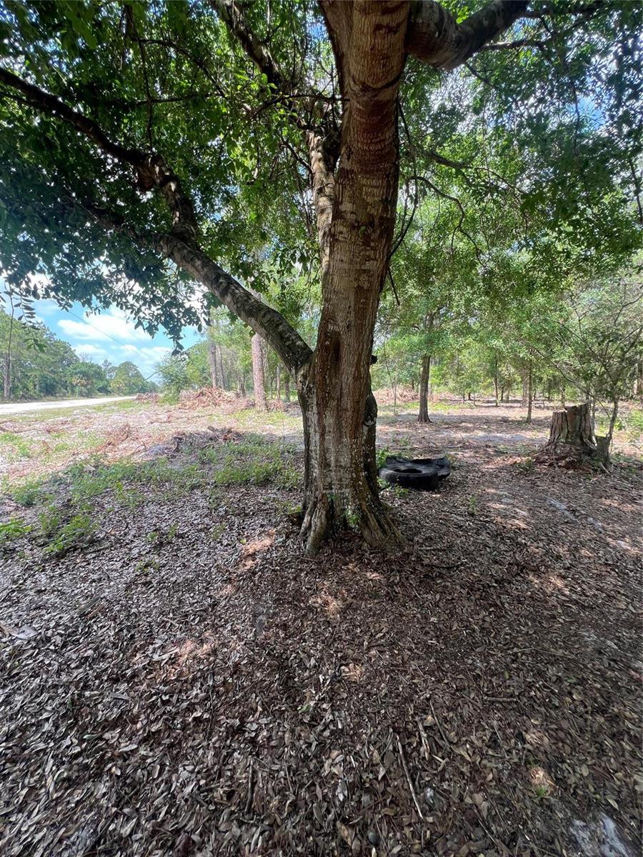 Ver detalles / 0 sq. ft. $ 2026-05-20 0 foto