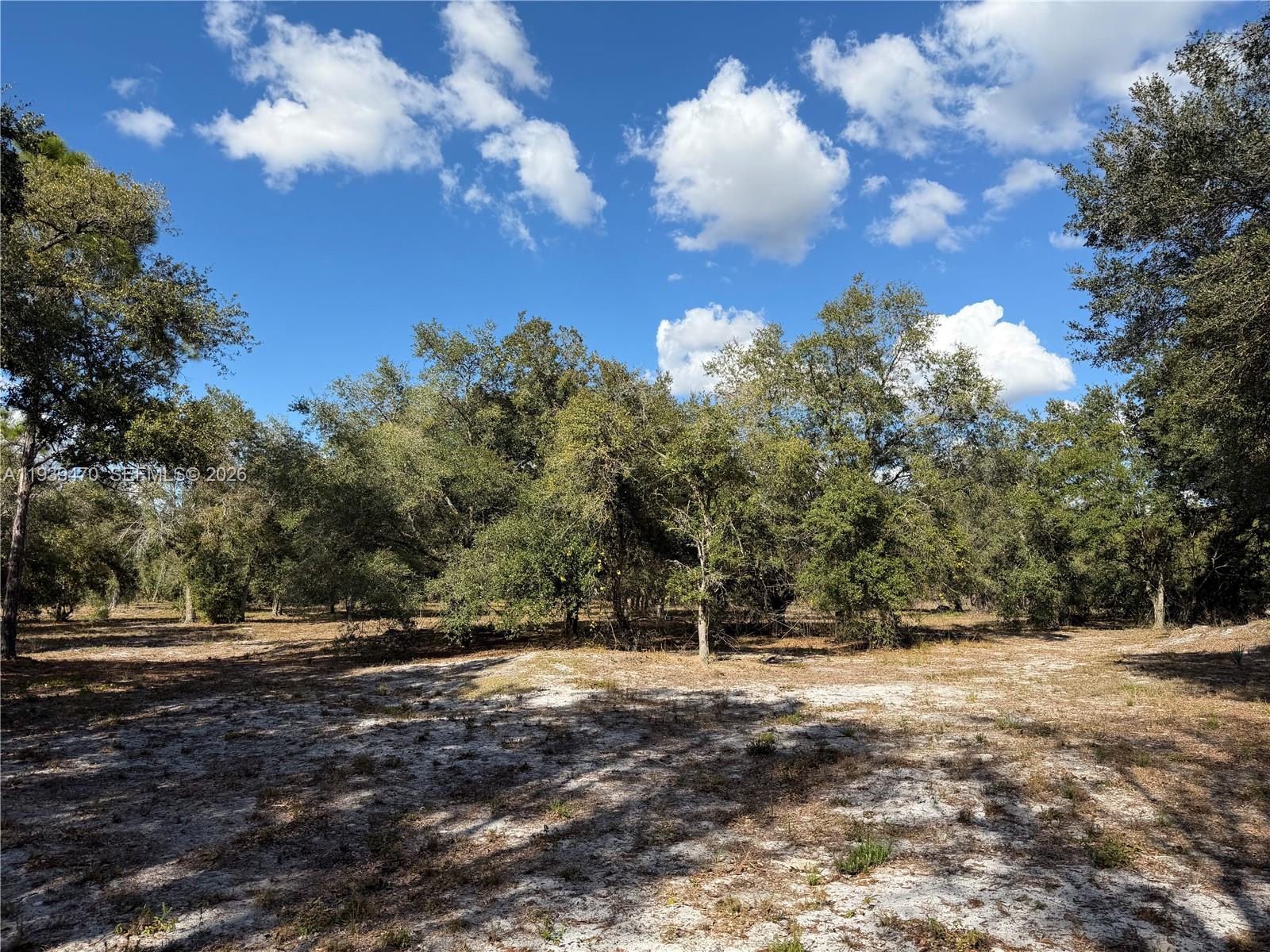 Ver detalles / sq. ft. $ 2026-01-06 0 foto