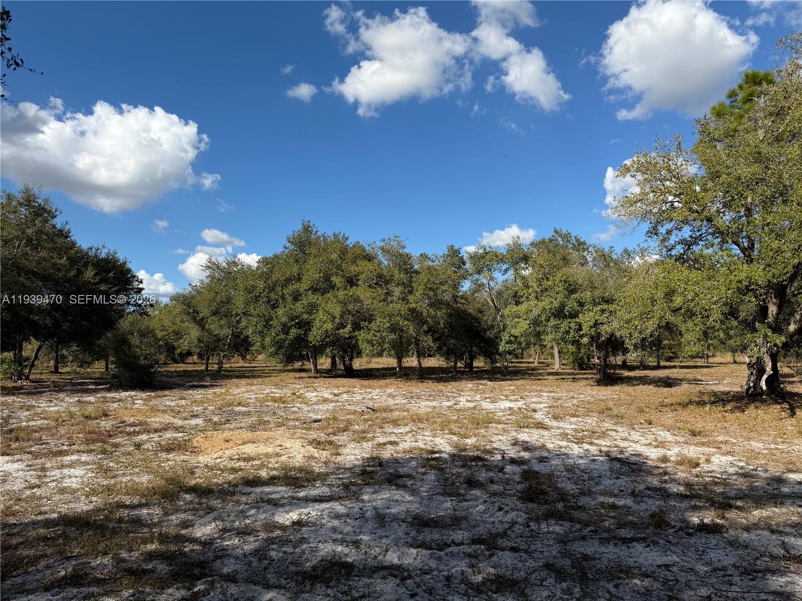 Ver detalles / sq. ft. $ 2026-01-06 0 foto