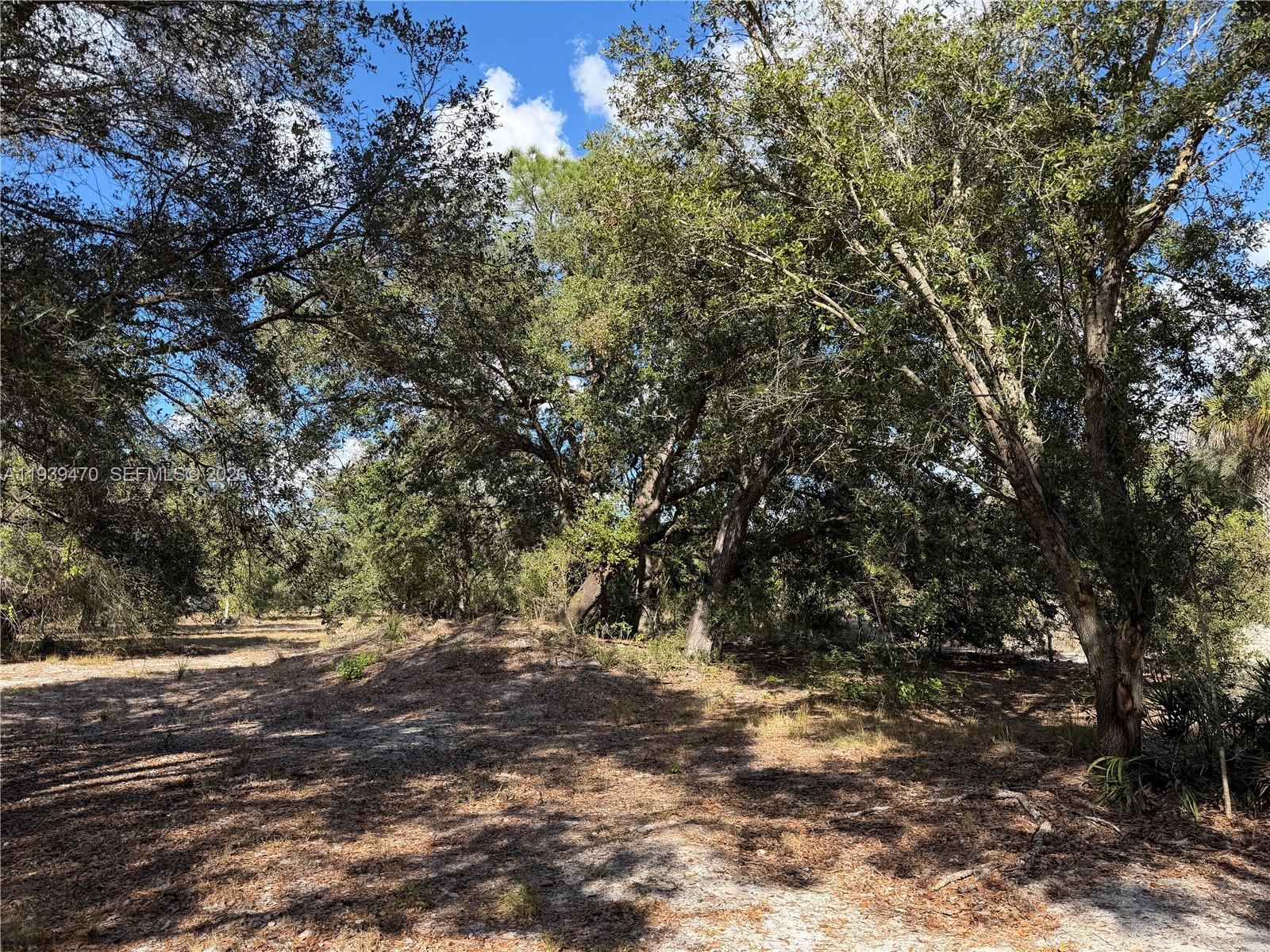 Ver detalles / sq. ft. $ 2026-01-06 0 foto