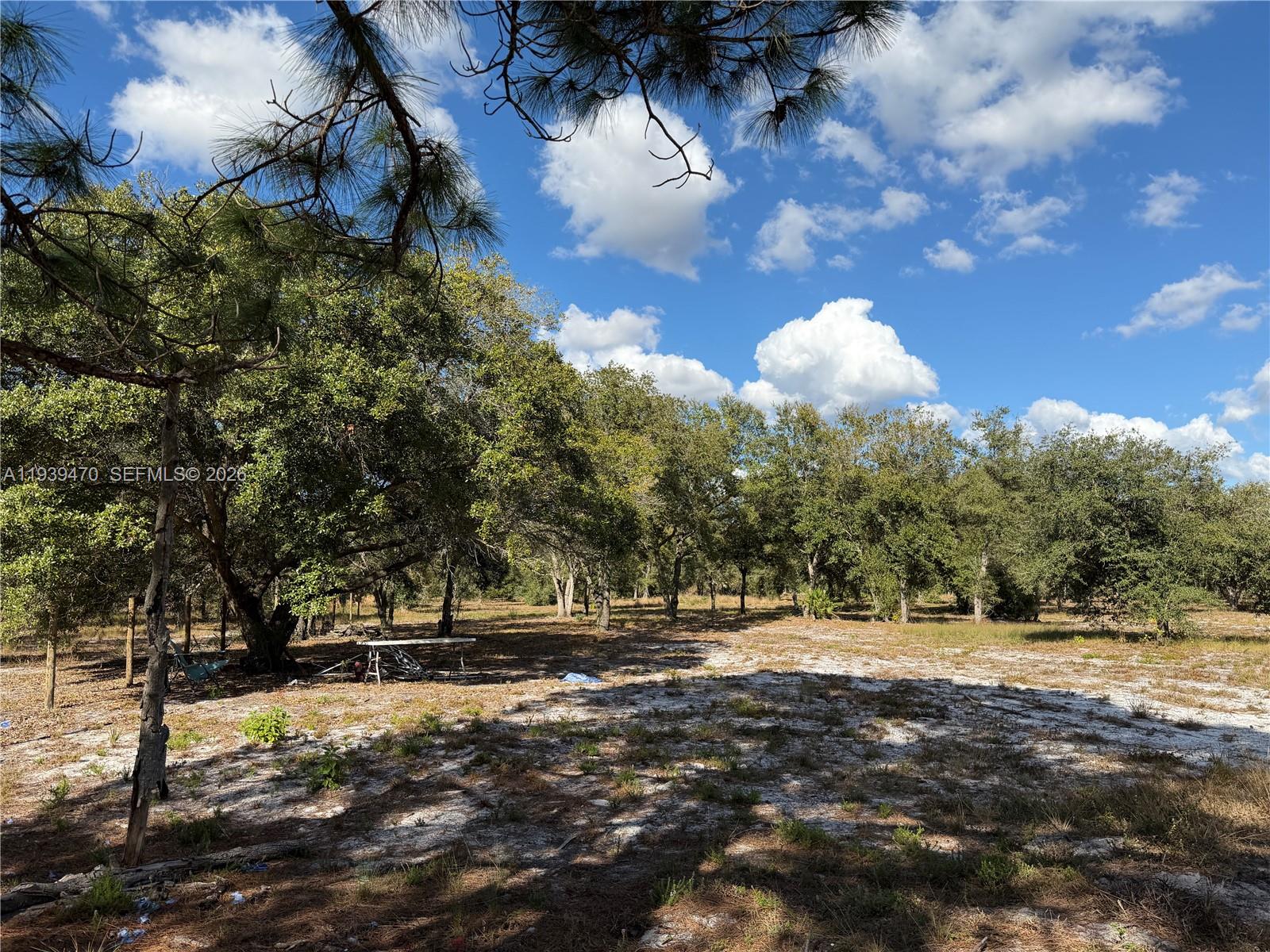 Ver detalles / sq. ft. $ 2026-01-06 0 foto