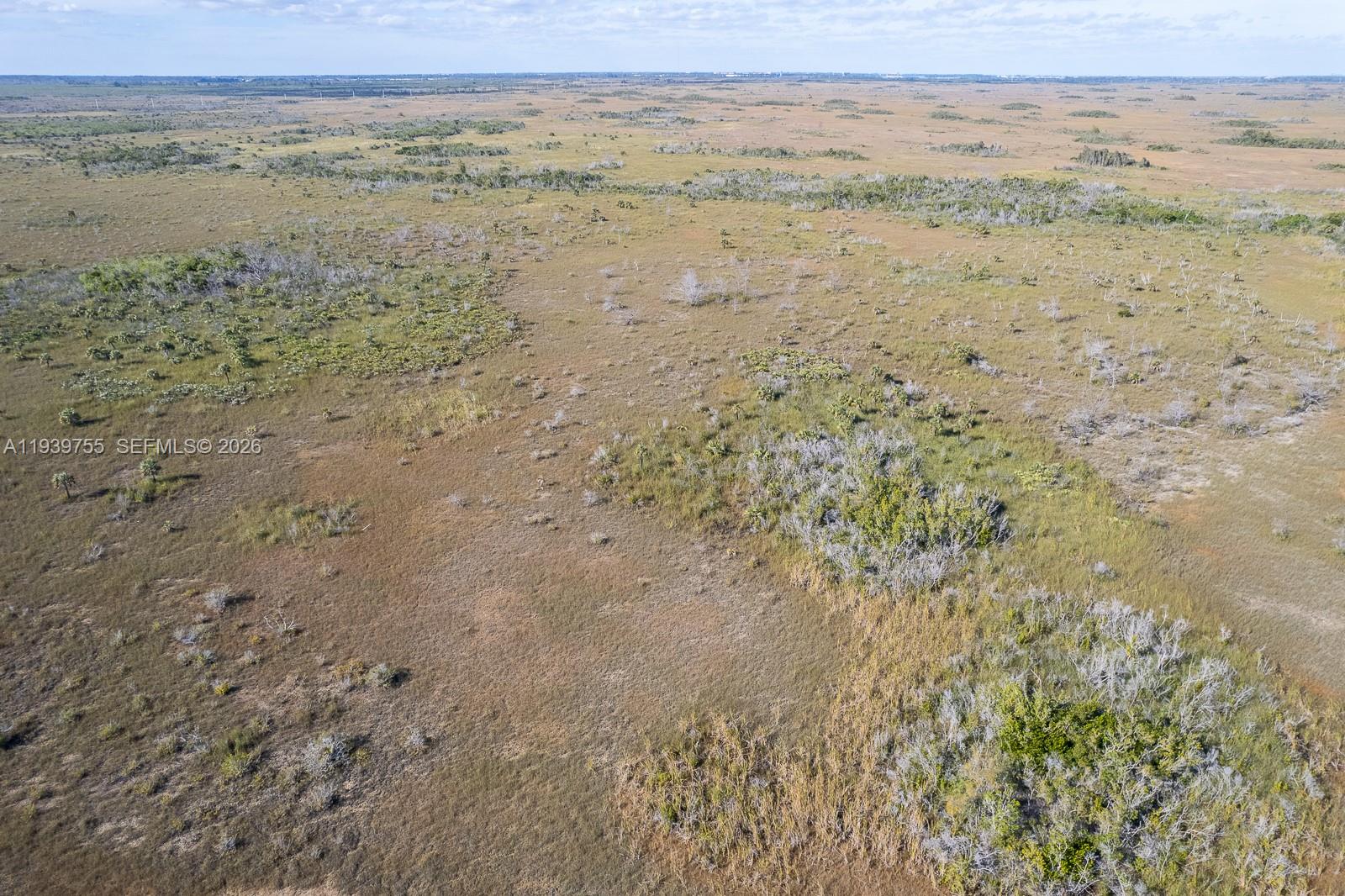 Ver detalles / sq. ft. $ 2026-01-06 0 foto