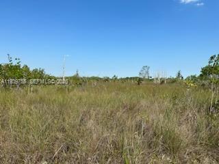 Ver detalles / sq. ft. $ 2026-01-06 0 foto