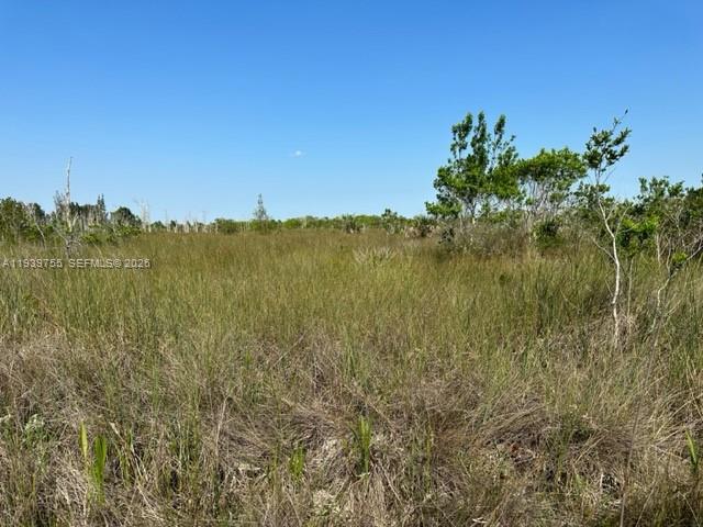 Ver detalles / sq. ft. $ 2026-01-06 0 foto