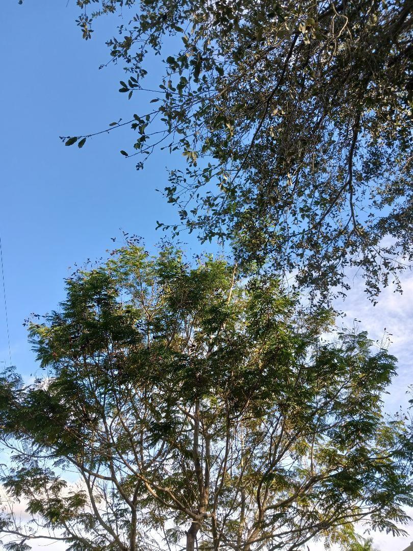 Ver detalles / 0 sq. ft. $ 2026-06-19 0 foto