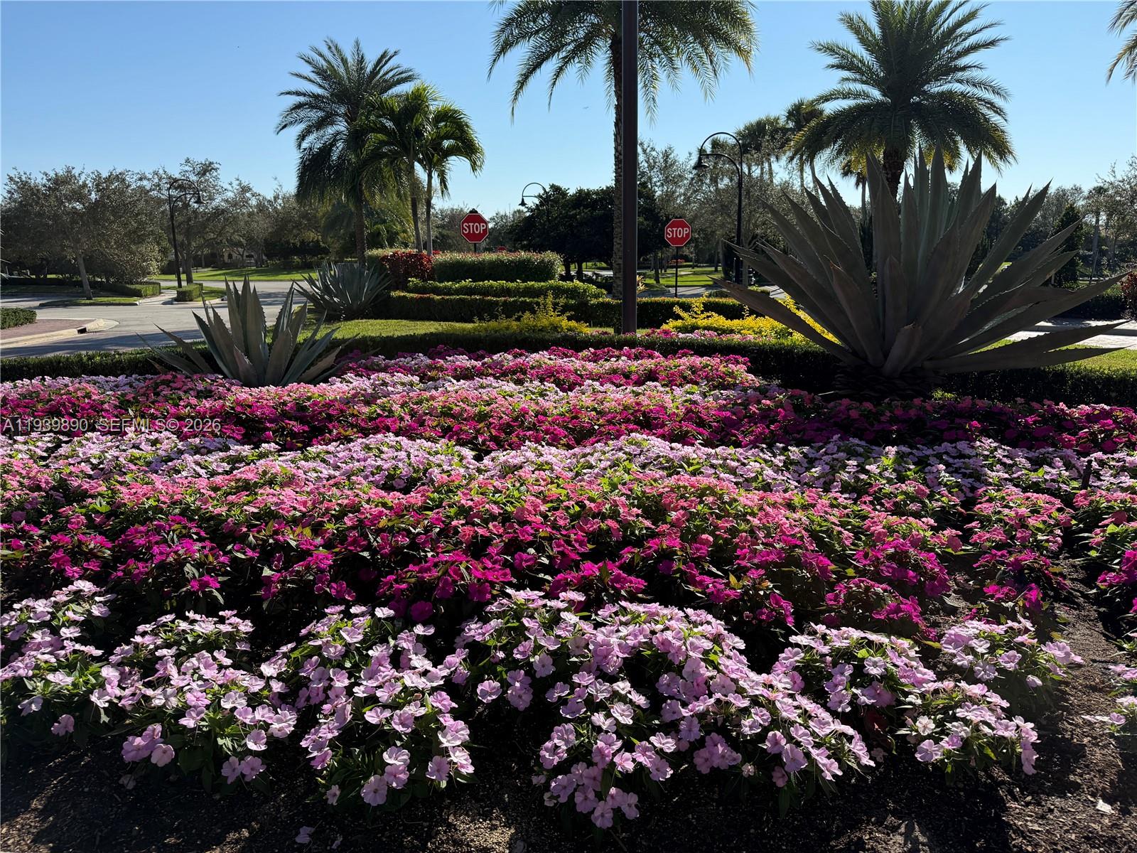 11539 3 / 2 1646 sq. ft. $ 2026-01-06 0 Photo