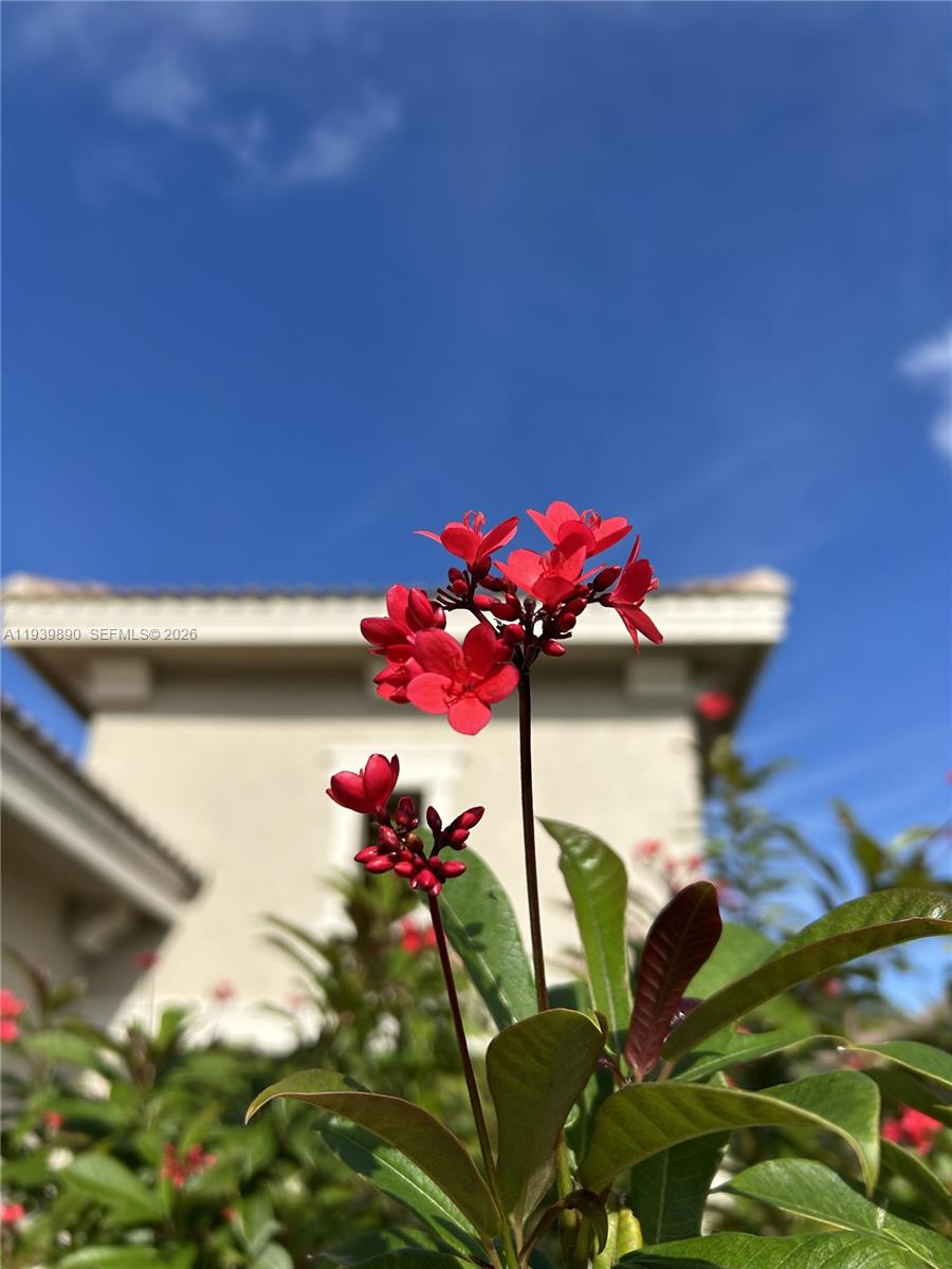 11539 3 / 2 1646 sq. ft. $ 2026-01-06 0 Photo