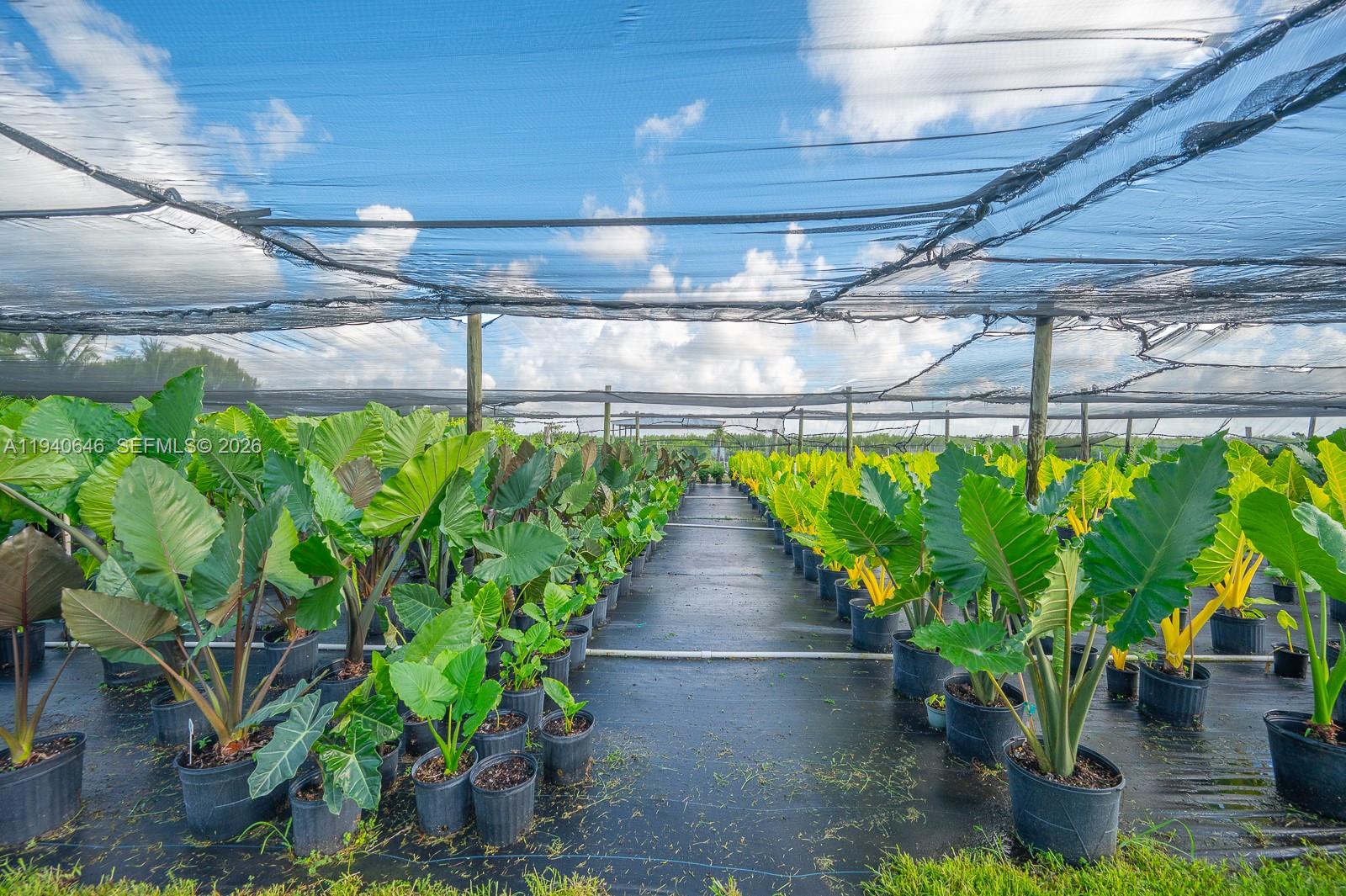   /   sq. ft. $ 2026-01-07 0 Photo