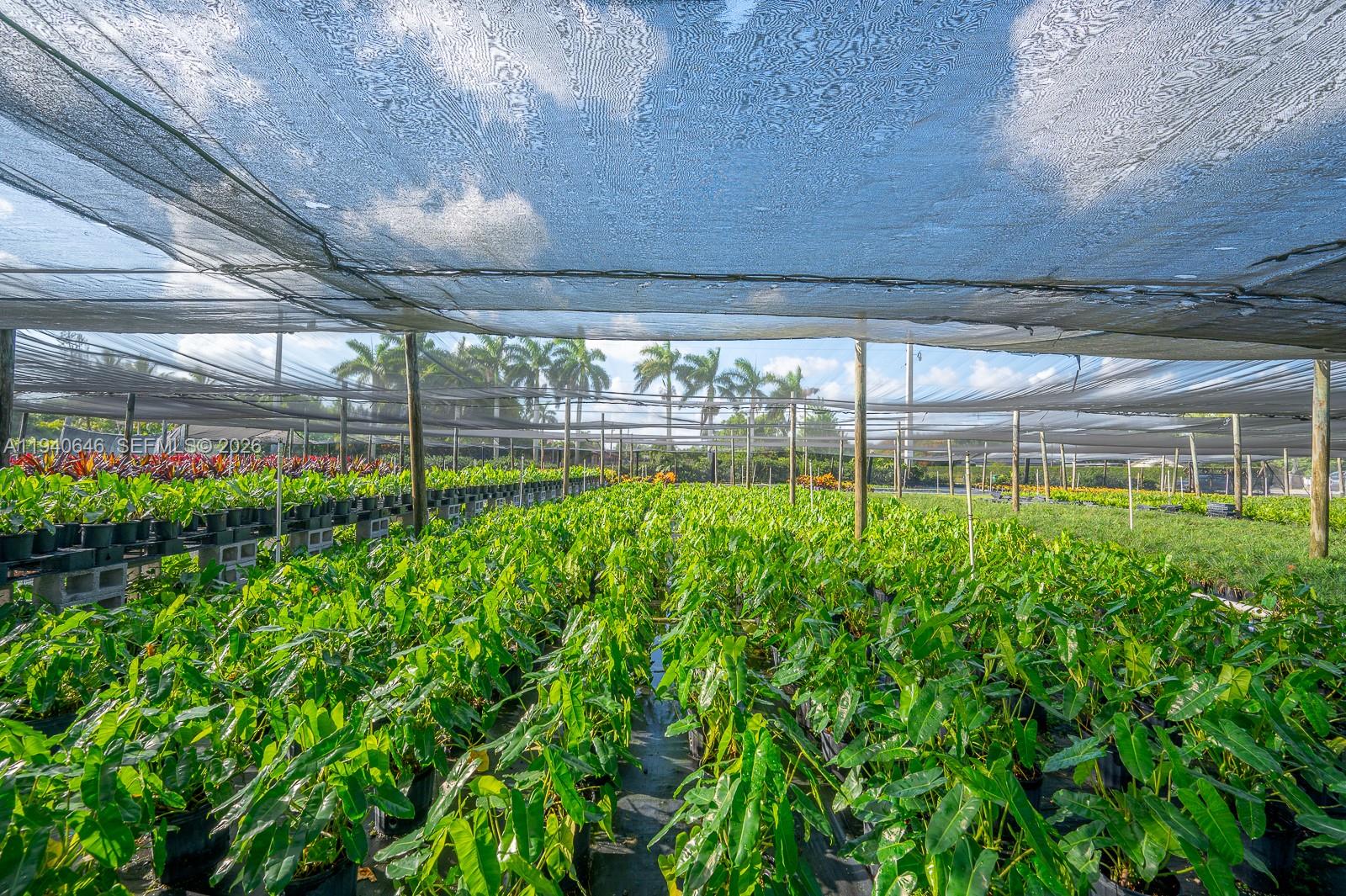   /   sq. ft. $ 2026-01-07 0 Photo