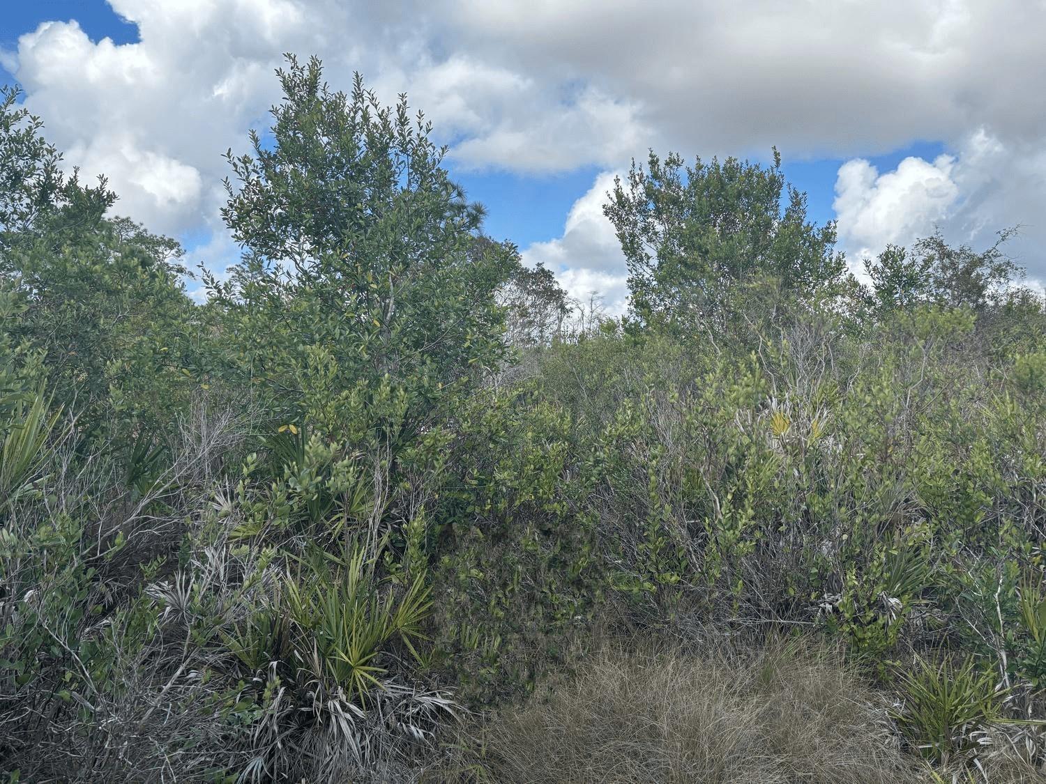  / 0  sq. ft. $ 2026-06-19 0 foto
