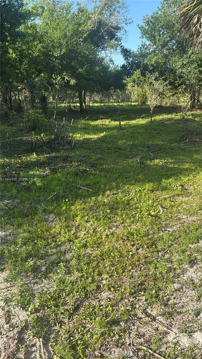 Ver detalles / sq. ft. $ 2026-01-08 0 foto