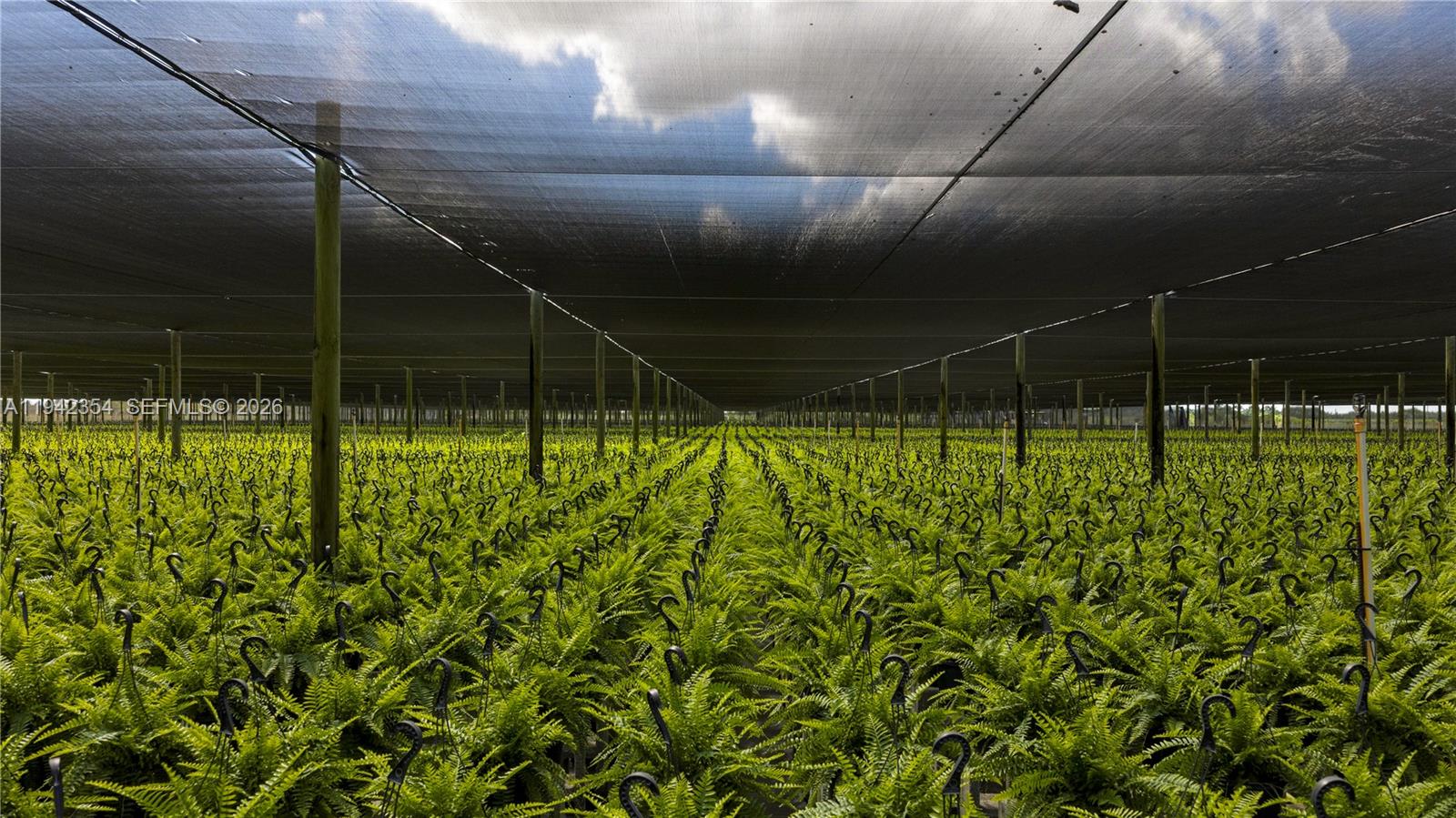   /   sq. ft. $ 2026-01-09 0 Photo