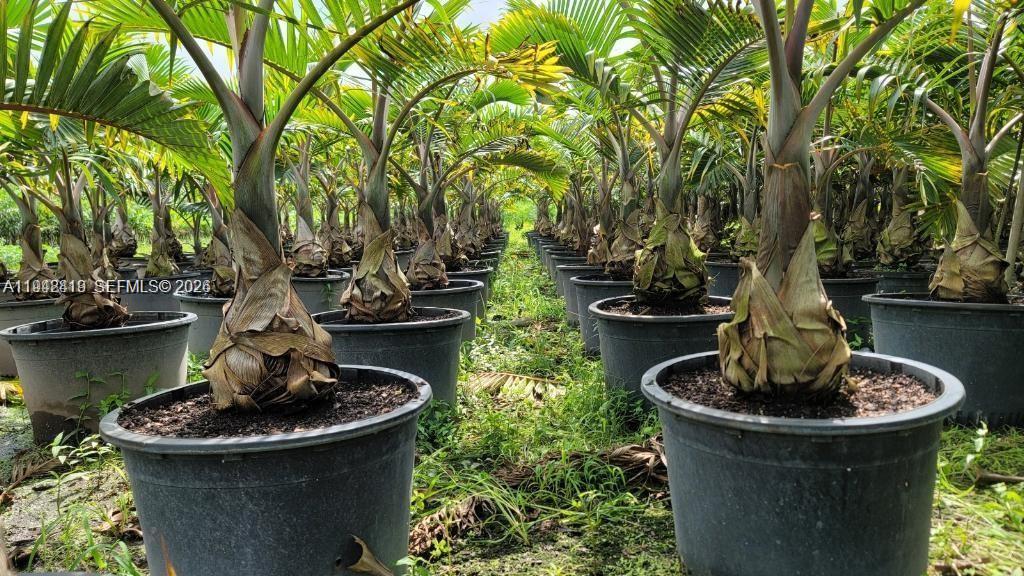   /   кв.футов $ 2026-01-09 0 Фото