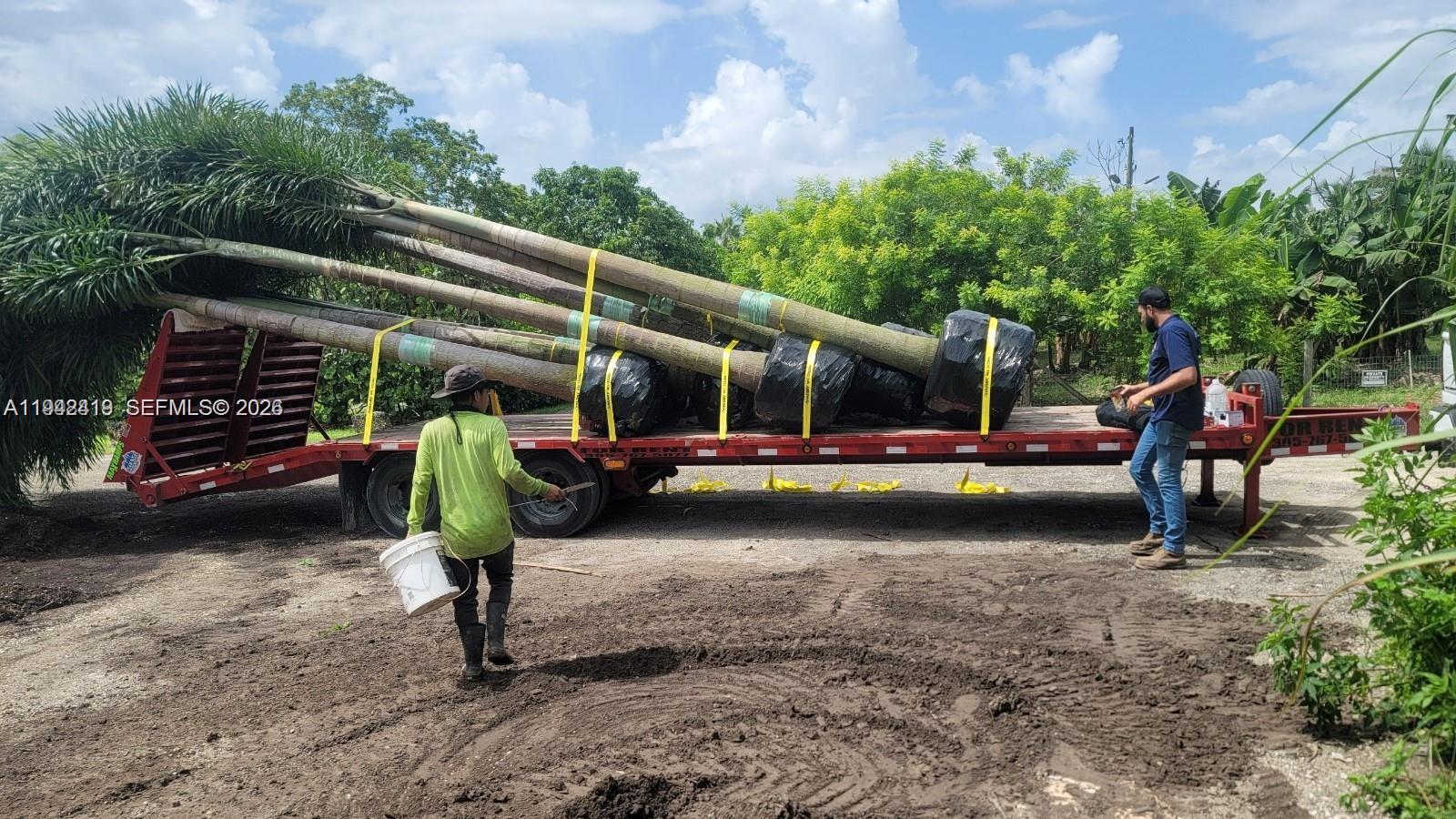   /   кв.футов $ 2026-01-09 0 Фото