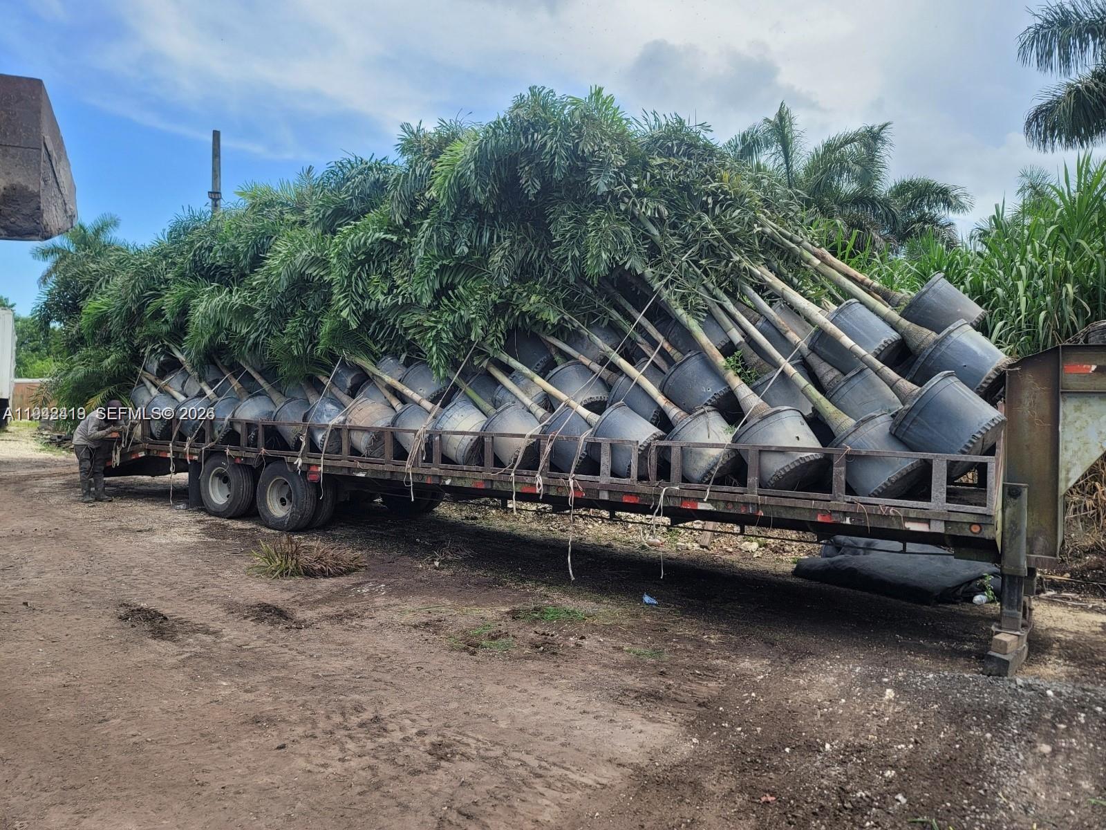   /   кв.футов $ 2026-01-09 0 Фото