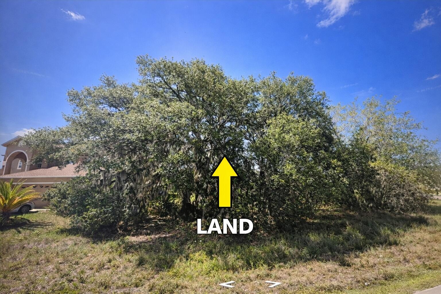 See details / 0 sq. ft. $ 2026-06-19 0 Photo
