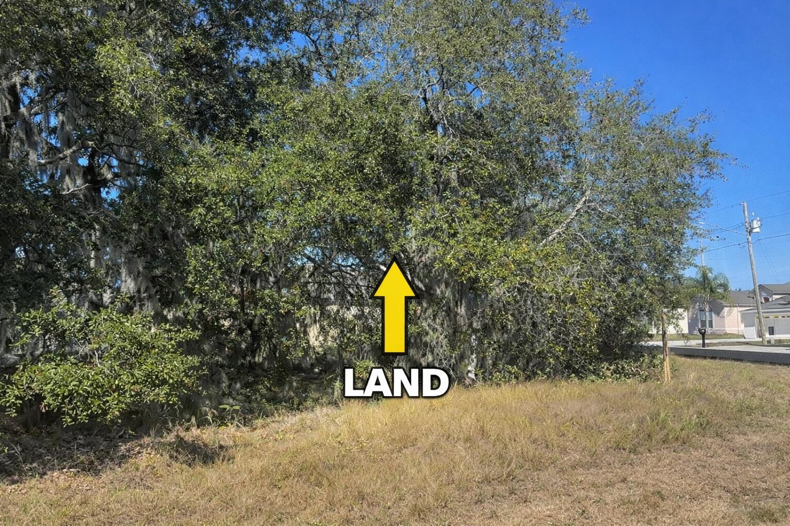 See details / 0 sq. ft. $ 2026-06-19 0 Photo