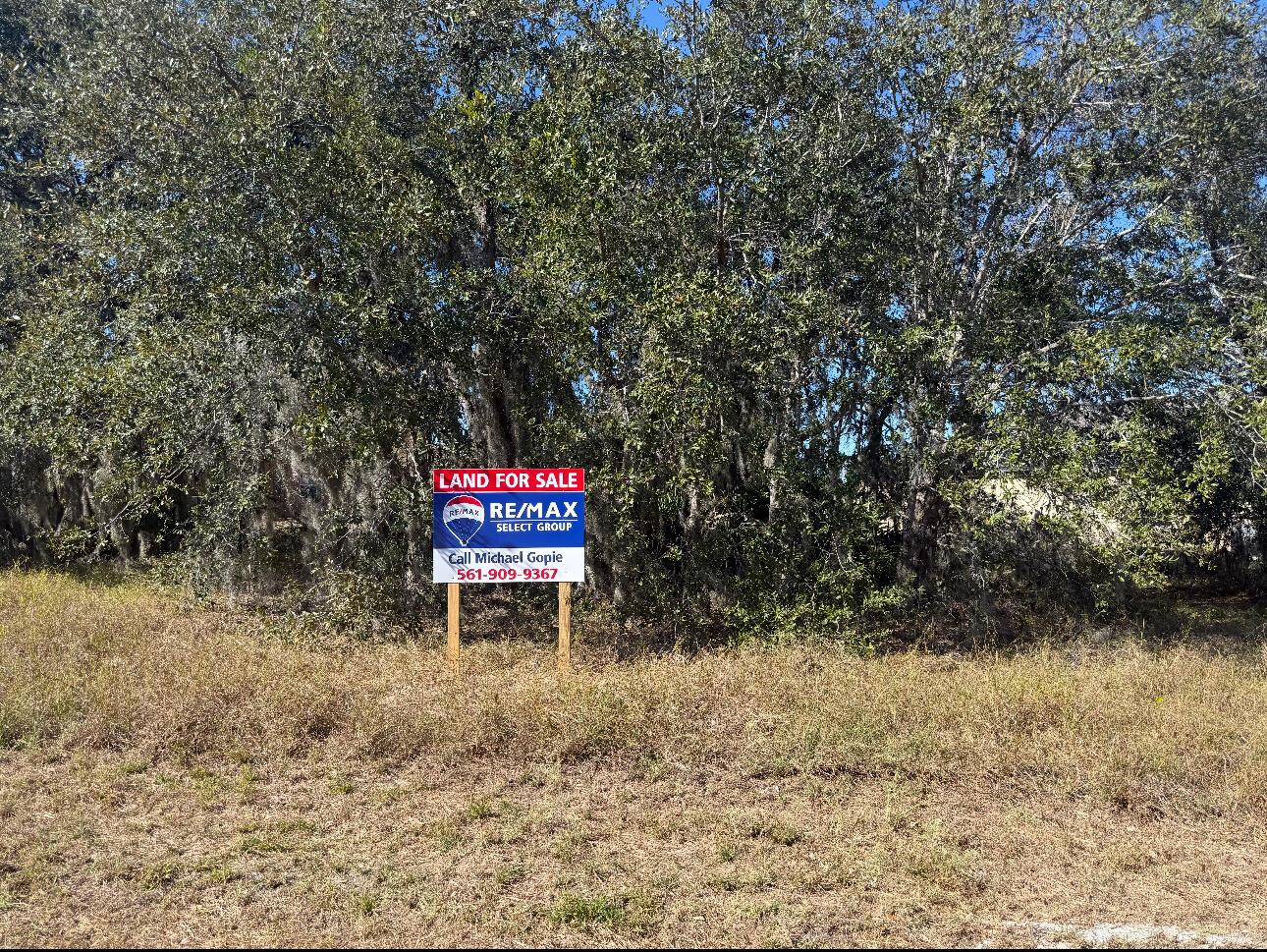 See details / 0 sq. ft. $ 2026-06-19 0 Photo