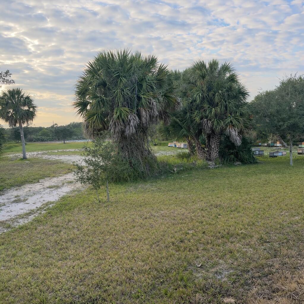 See details / 0 sq. ft. $ 2026-05-14 0 Photo