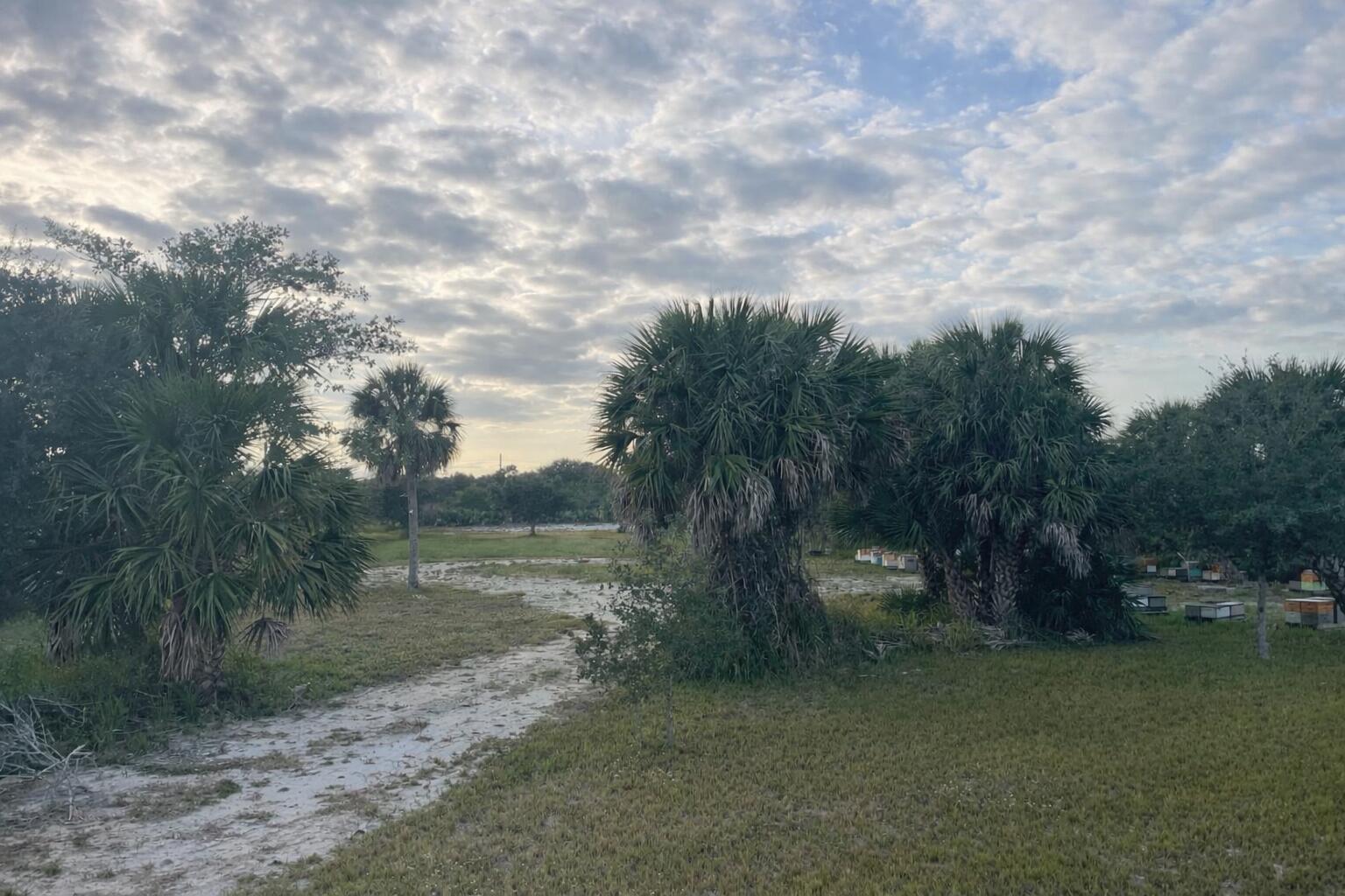 See details / 0 sq. ft. $ 2026-05-14 0 Photo