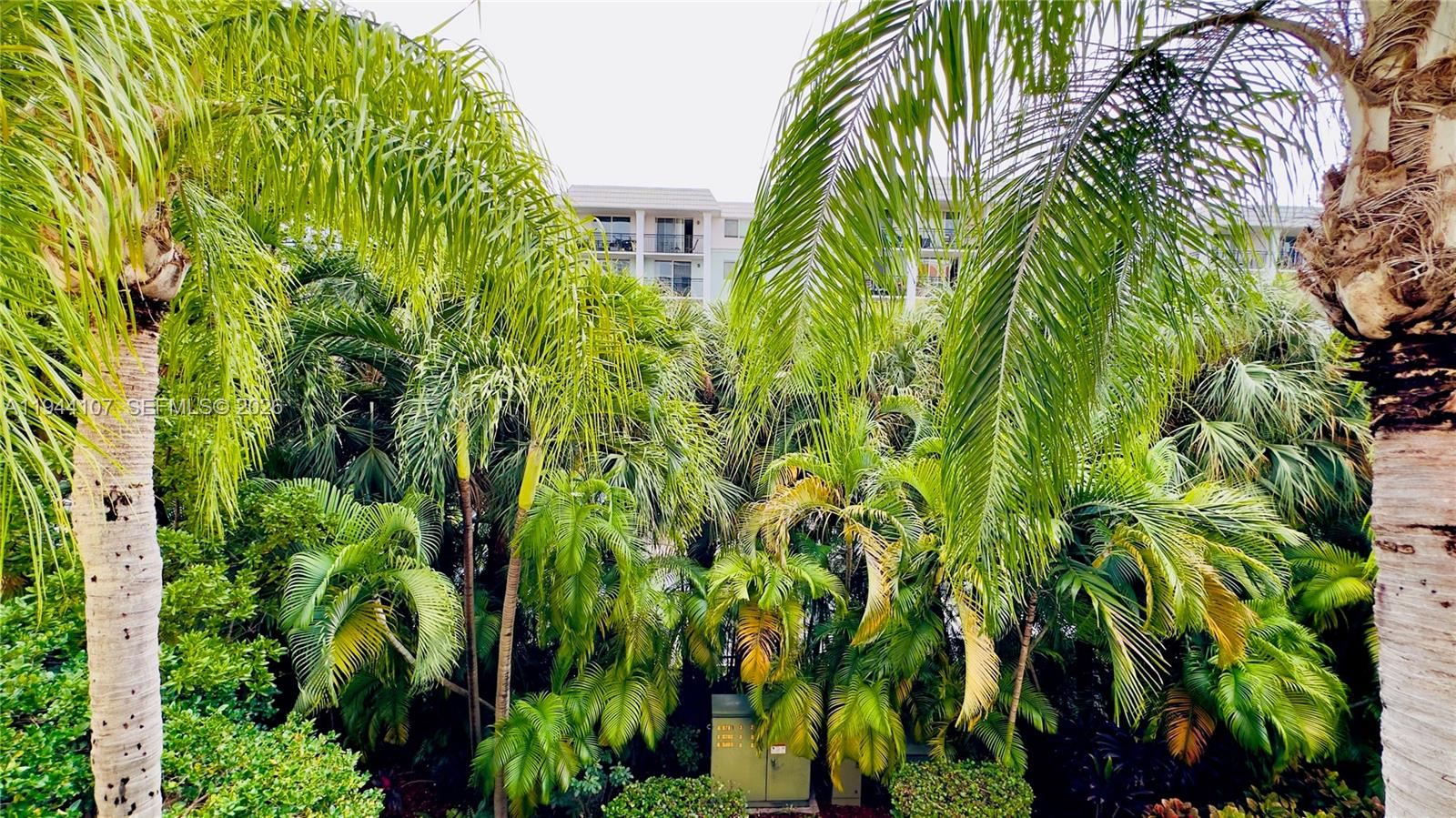 Photo of 17125 Bay Rd  #3311, Sunny Isles Beach, Florida, 33160 - 