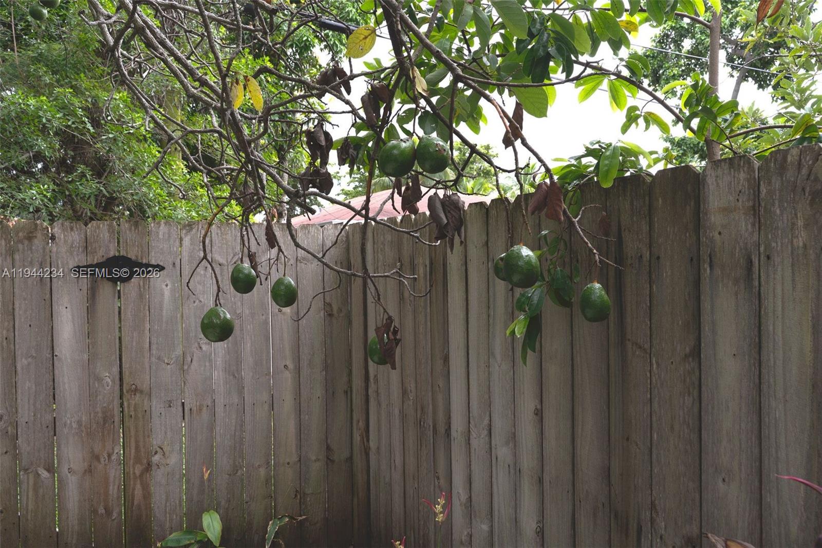 260 3 / 2 1304 sq. ft. $ 2026-01-13 0 Photo