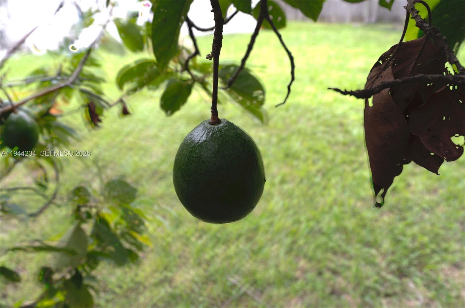 260 3 / 2 1304 sq. ft. $ 2026-01-13 0 Photo