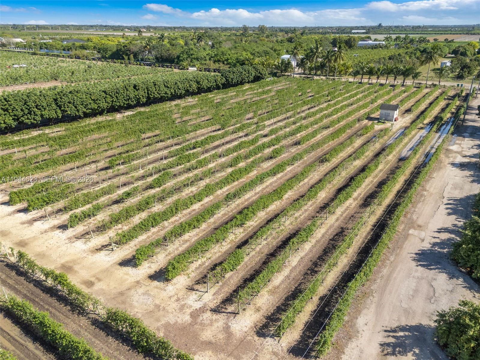 Ver detalles / sq. ft. $ 2026-01-13 0 foto