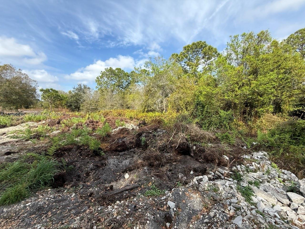   /   кв.футов $ 2026-01-15 0 Фото