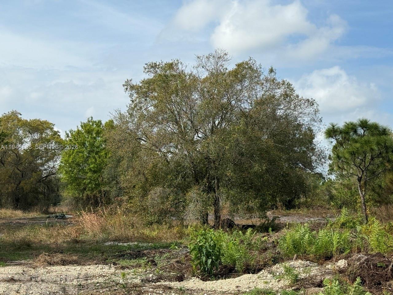   /   кв.футов $ 2026-01-15 0 Фото