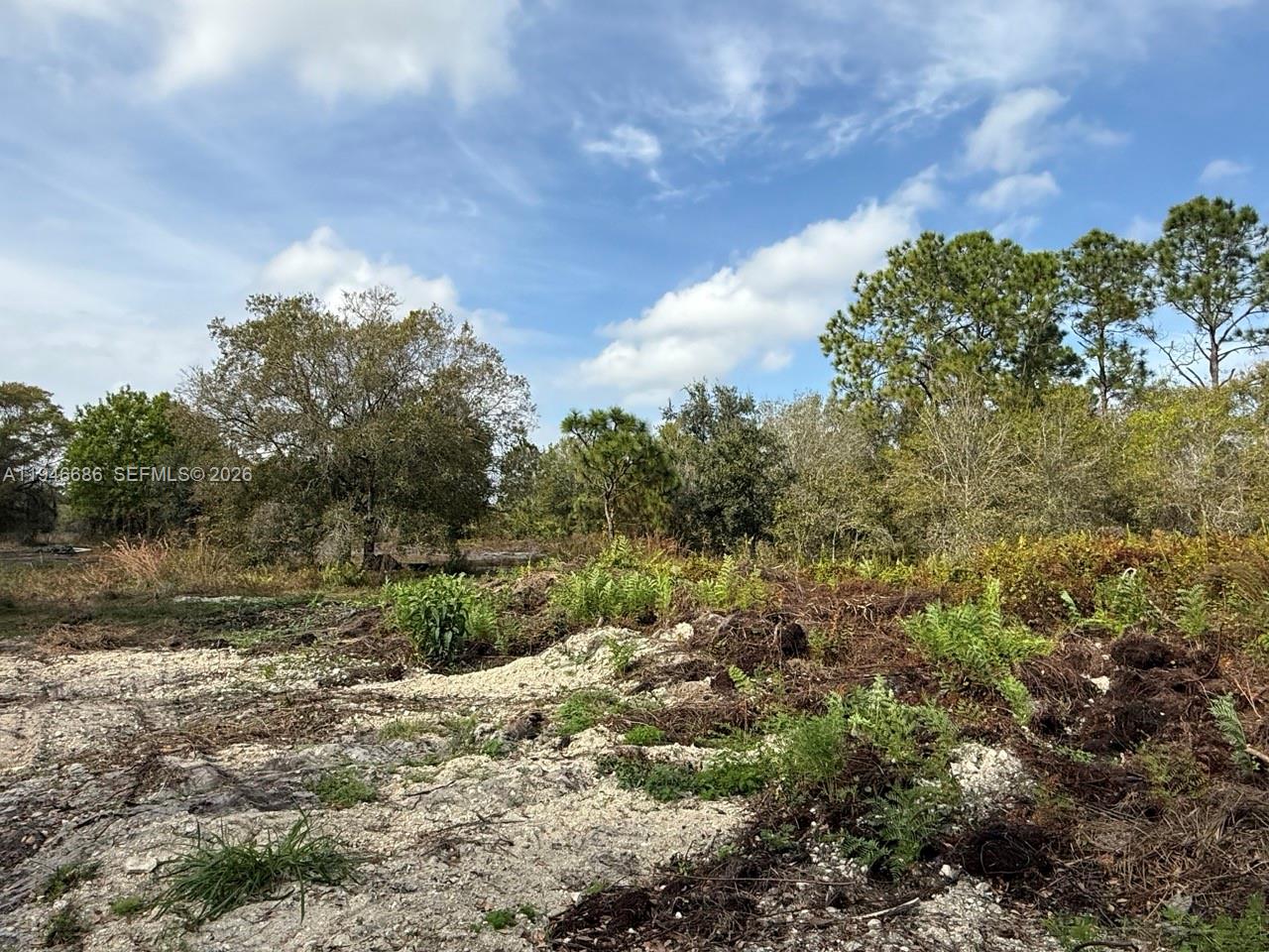   /   кв.футов $ 2026-01-15 0 Фото