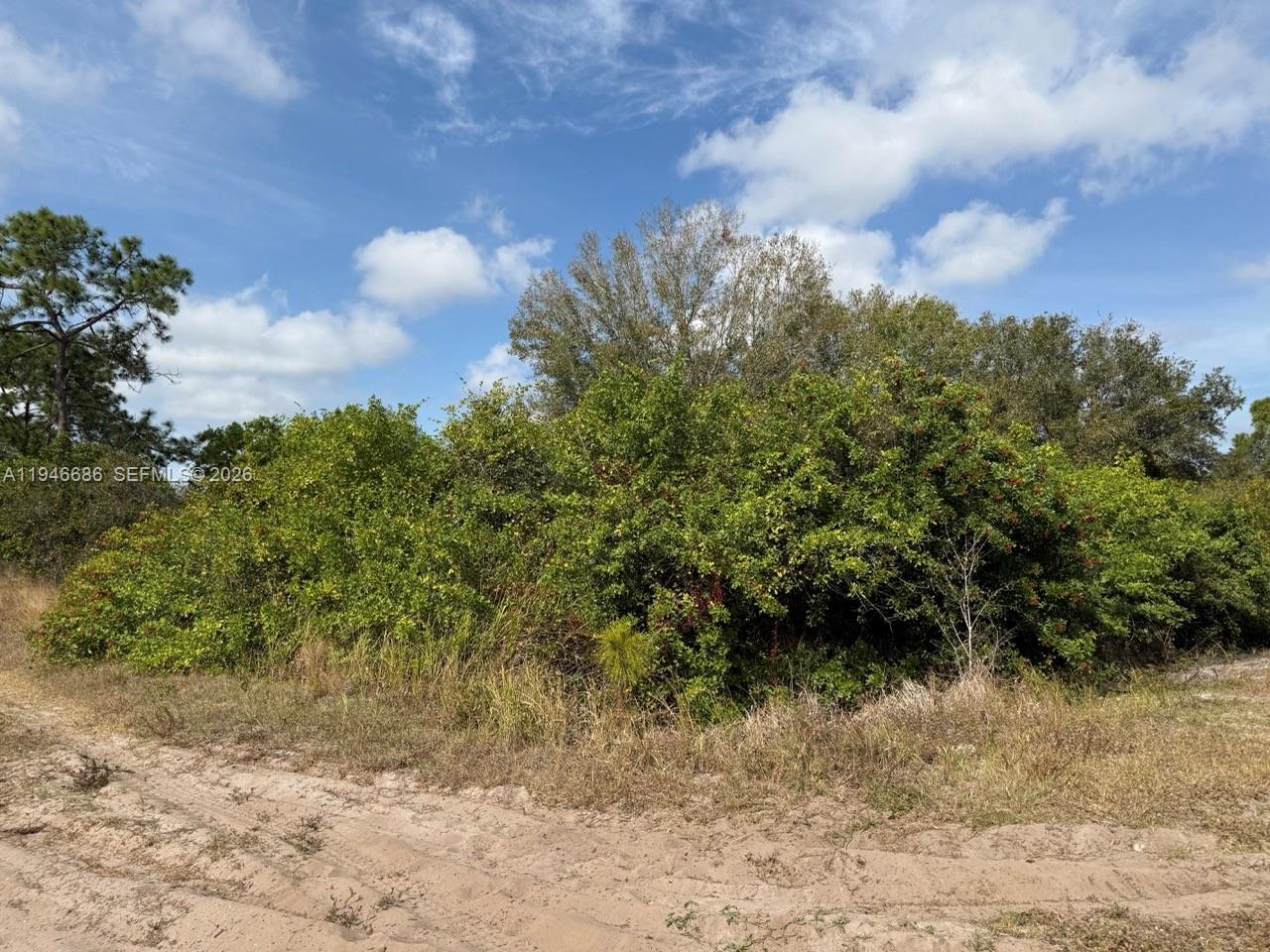   /   кв.футов $ 2026-01-15 0 Фото