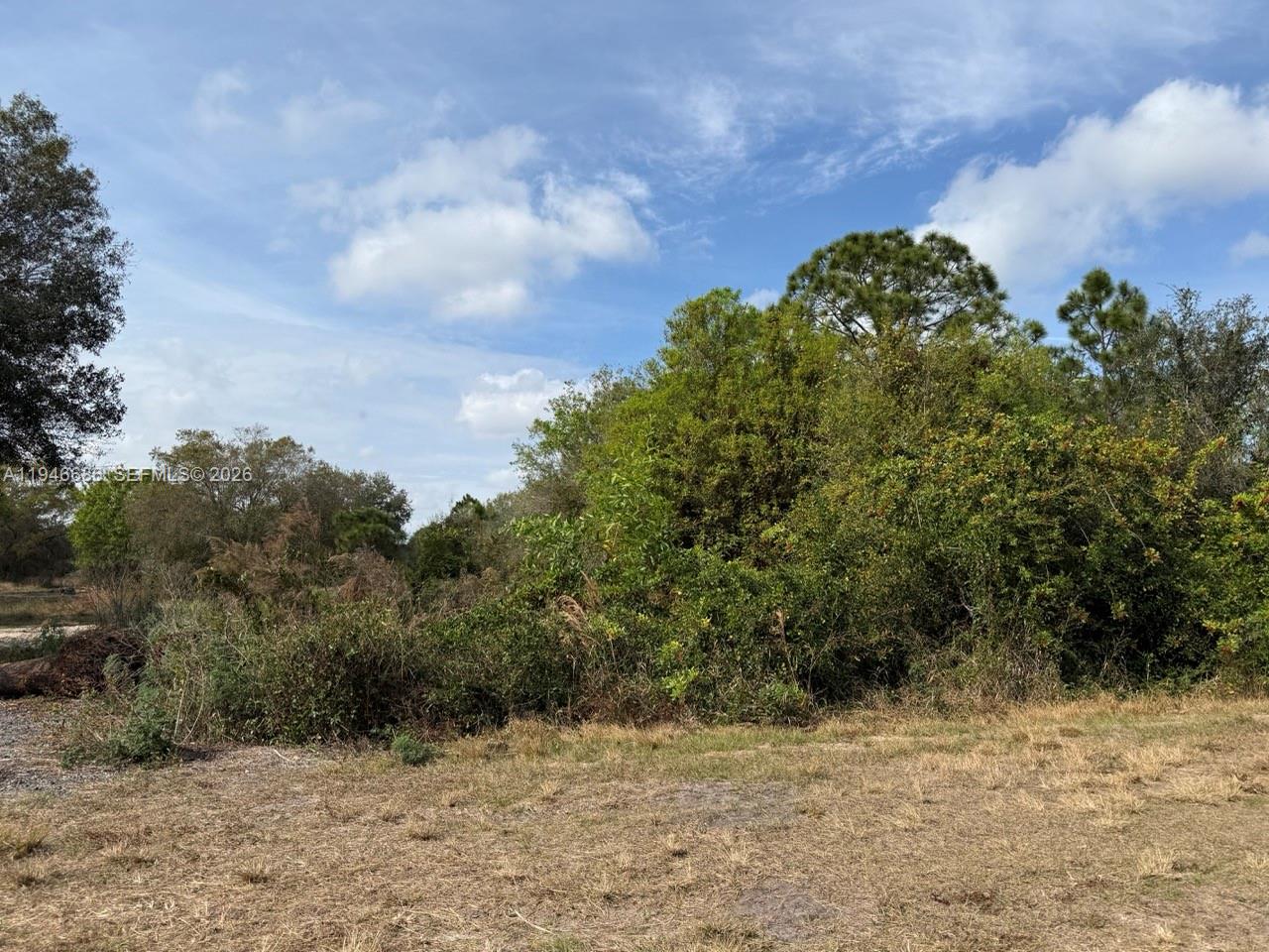   /   кв.футов $ 2026-01-15 0 Фото