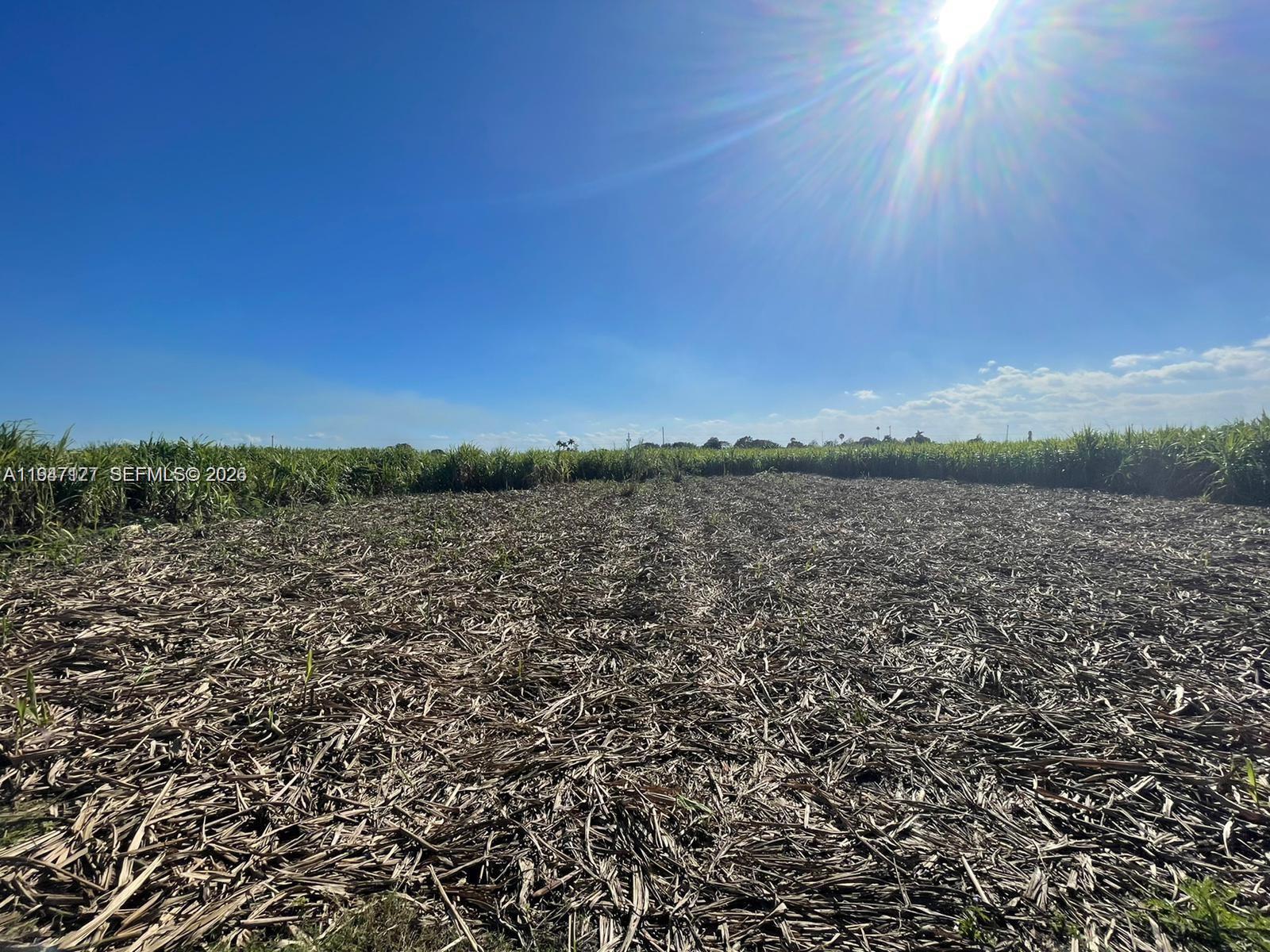   /   sq. ft. $ 2026-01-16 0 Photo