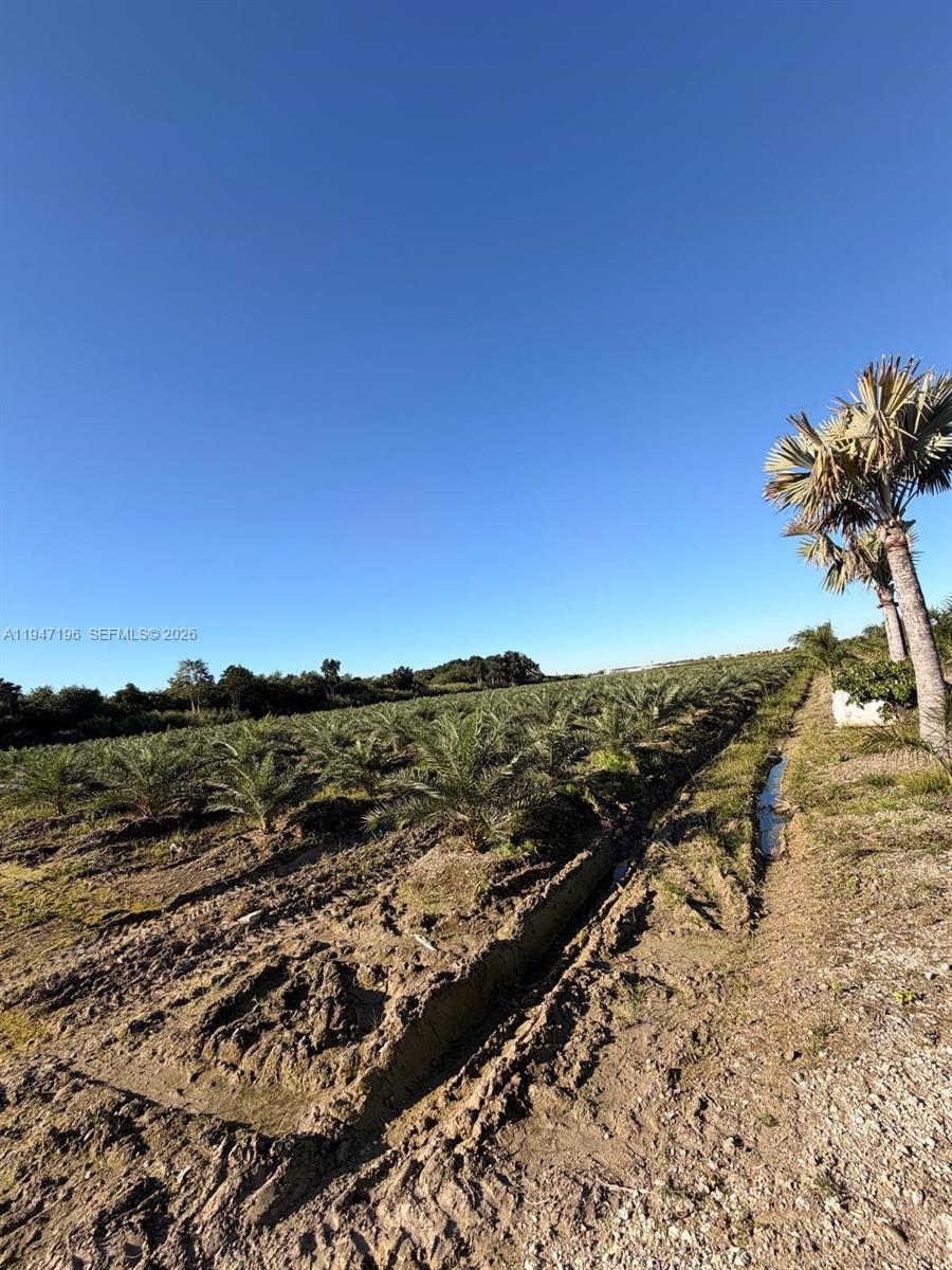   /   sq. ft. $ 2026-01-16 0 Photo