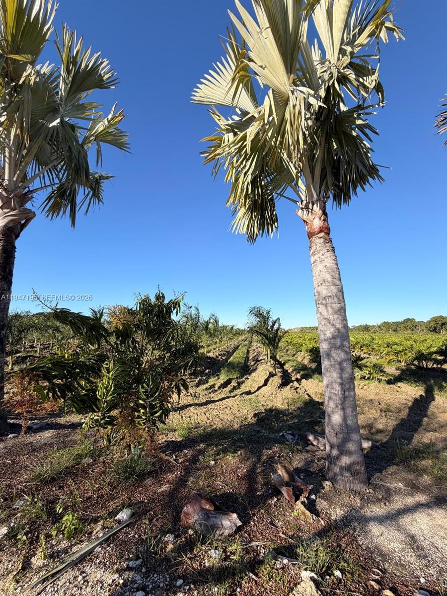   /   sq. ft. $ 2026-01-16 0 Photo