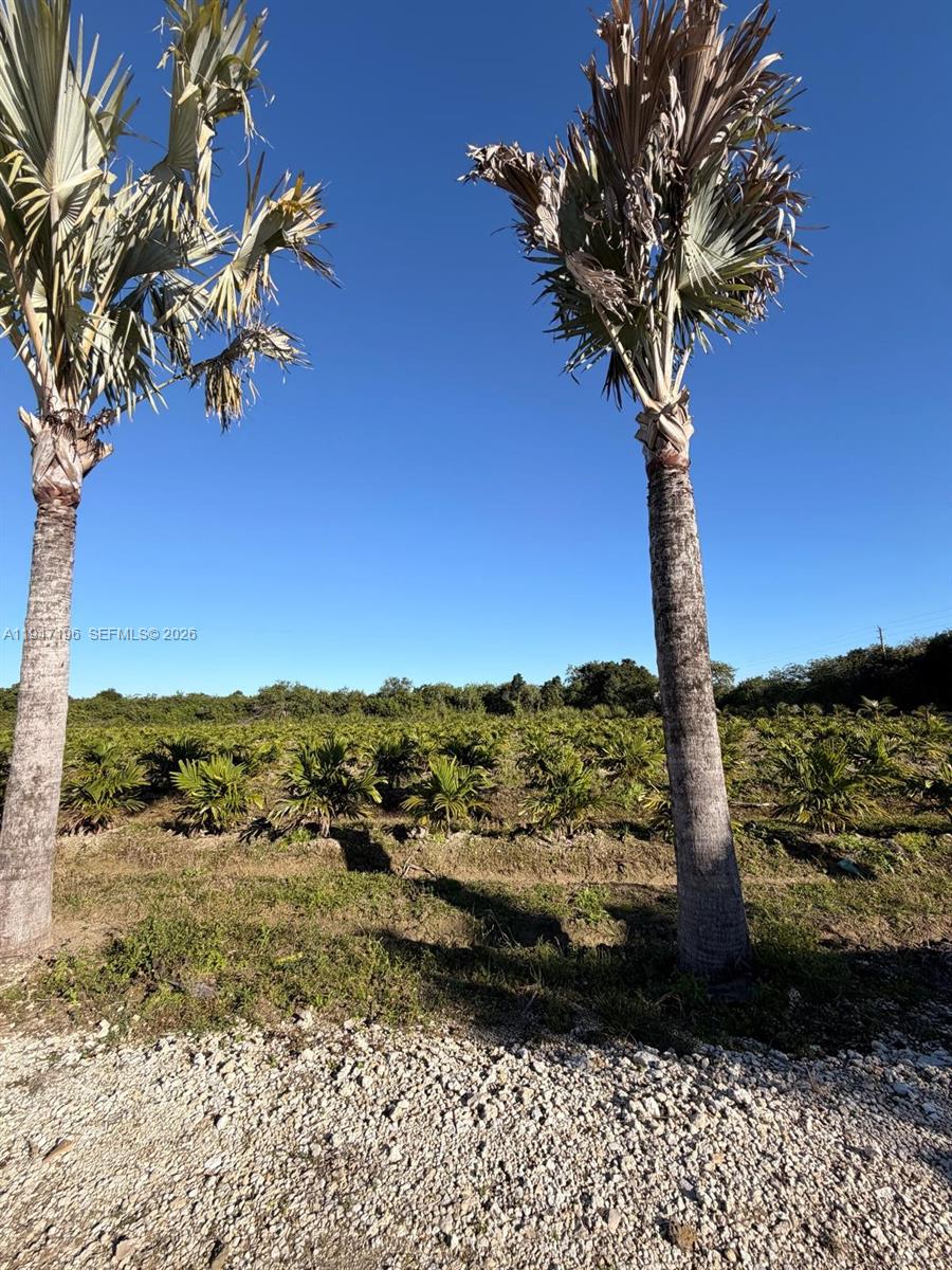   /   sq. ft. $ 2026-01-16 0 Photo