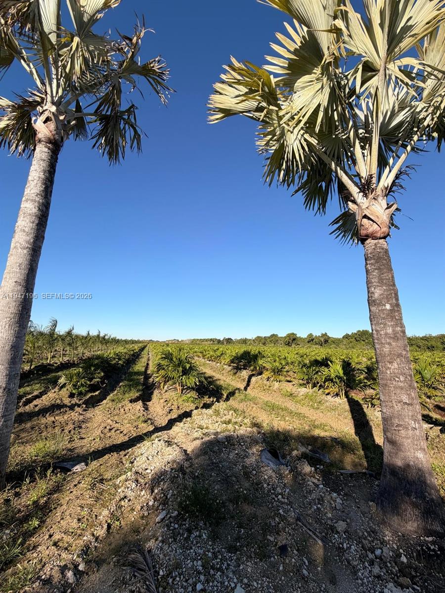   /   sq. ft. $ 2026-01-16 0 Photo