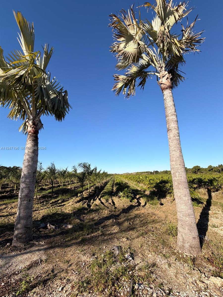   /   sq. ft. $ 2026-01-16 0 Photo