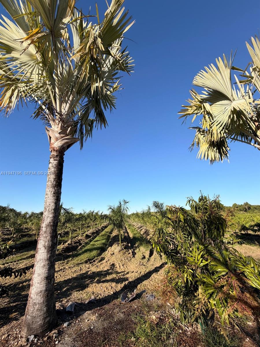   /   sq. ft. $ 2026-01-16 0 Photo