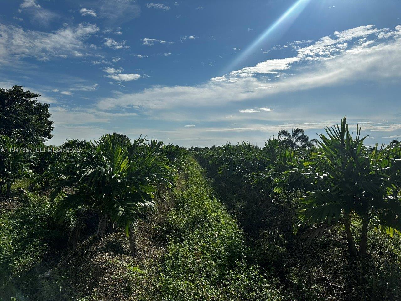   /   sq. ft. $ 2026-01-17 0 Photo